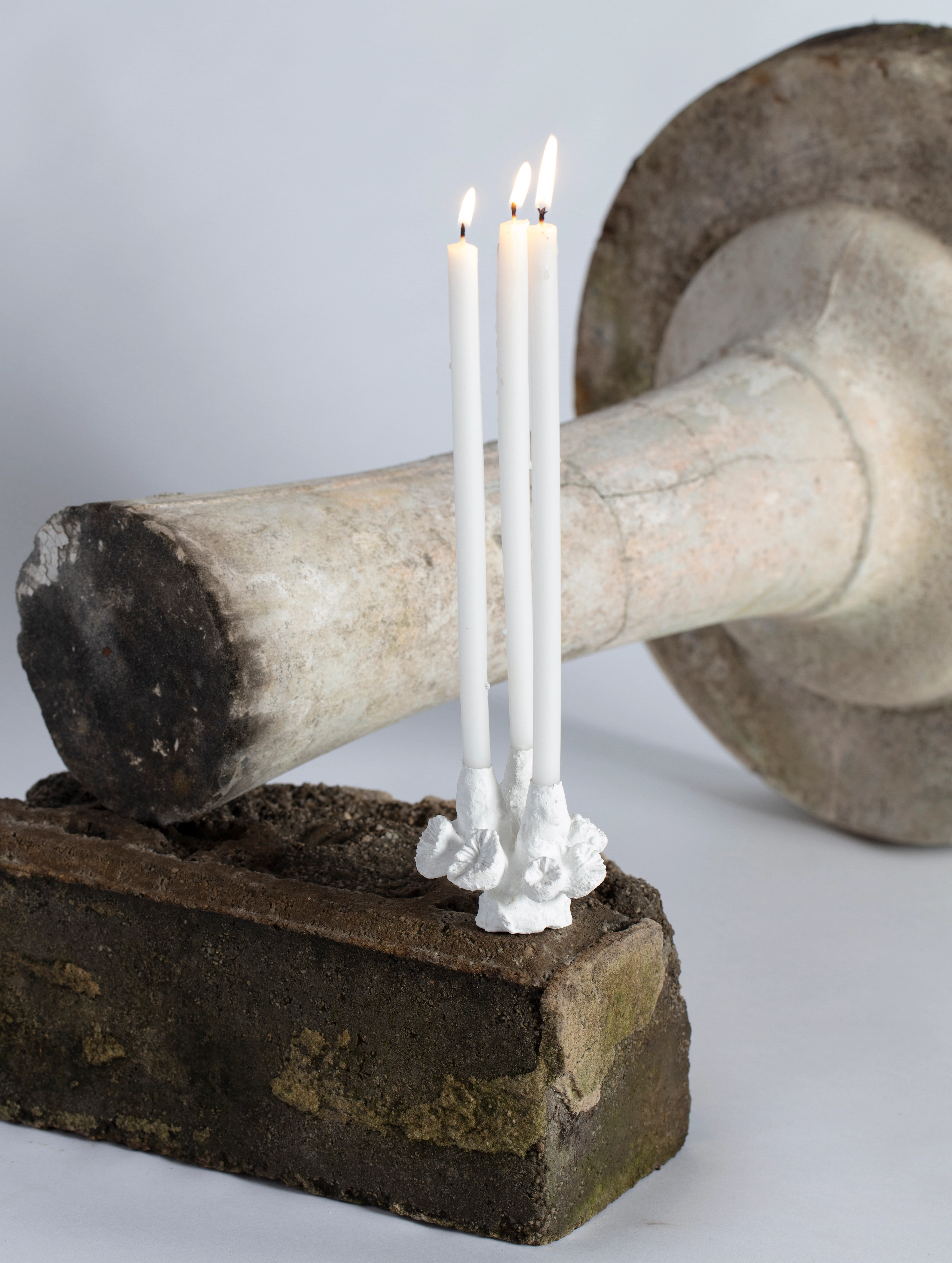 Groundwork #8, 2019. Featuring Jae Criddle, Candlestick II (70x80x70mm), coral, paper, glue, plaster, acrylic, candles.